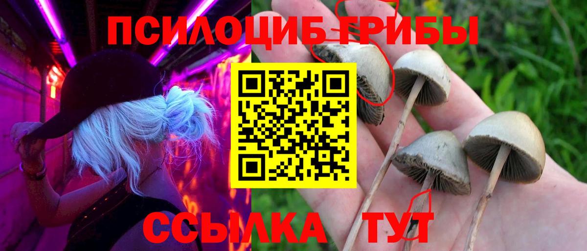 Керчь  Псилоцибиновые грибы GOLDEN TEACHER  Псилоцибиновые грибы MAGIC MUSHROOMS  Вход с VPN 